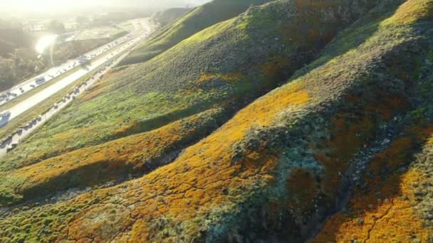 California Poppy Super Bloom Walker Canyon Aerial Shot Sunset Usa — Stock video