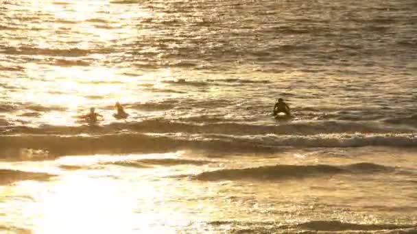 Mädchen Surfen Ozean Bei Sonnenuntergang Kalifornien Usa — Stockvideo