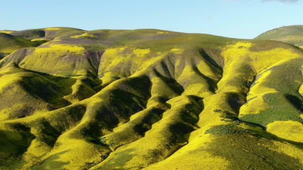 Aerial Shot Super Bloom Sunset Árnyékok Mountain Ridges Közelében Carrizo — Stock videók