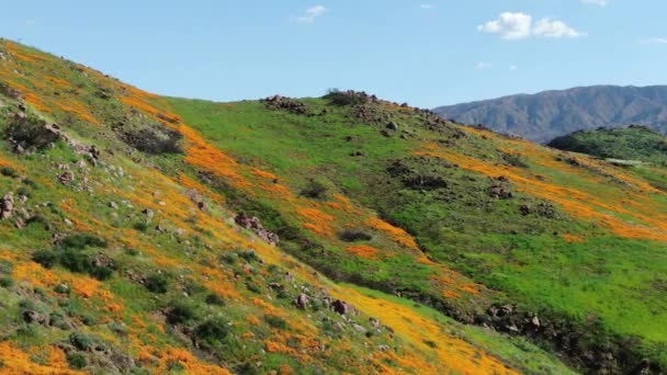 加利福尼亚超级花朵2019空中射花在埃尔辛诺尔湖美国轨道右方 — 图库视频影像