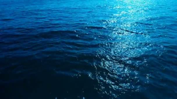 Loop Calm Ocean Waves Lake Water Surface — Stockvideo