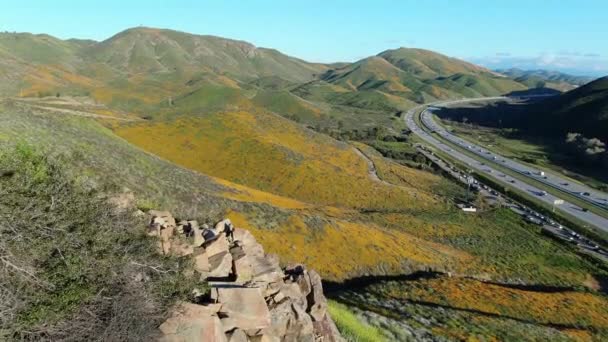 California Poppy Super Bloom Walker Canyon Antenn Skott Vid Solnedgången — Stockvideo