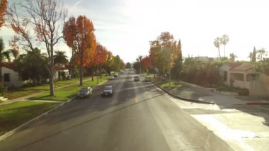 Los Angeles 'ta Sonbahar Yeşilliği Mahallesi Günbatımı Hava Çekimi