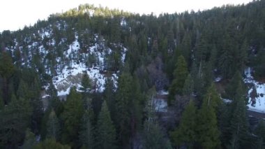 Kaliforniya 'da Çam Ormanı ve Dağlarının Kış Havası Çekimi