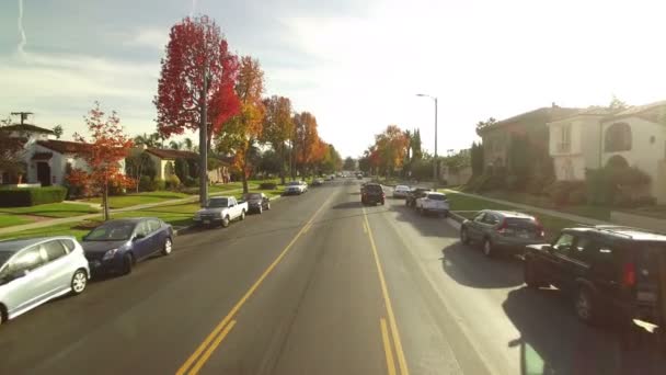 Fogliame Autunnale Los Angeles Residential Neighbor Street Tramonto Colpo Aereo — Video Stock