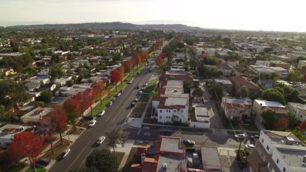 Follaje Otoño Barrio Residencial Los Ángeles Aerial Shot Forward Left — Vídeo de stock