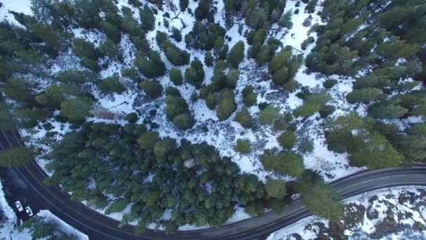 Droga Zimie Śnieg Zdjęcia Lotnicze Lasu Sosnowego Gór Kalifornia Prawo — Wideo stockowe