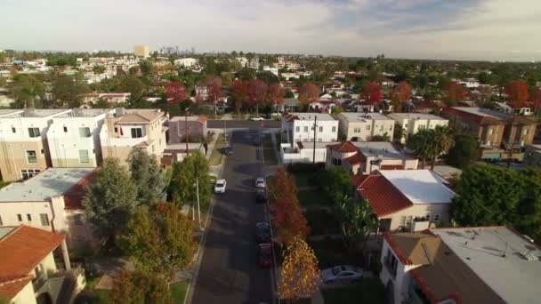 Follaje Otoño Barrio Residencial Los Ángeles Plano Aéreo Hacia Adelante — Vídeo de stock
