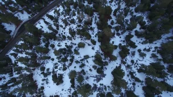 Kaliforniya Çam Ormanı Dağlarının Kış Uçuşu Çekimi — Stok video