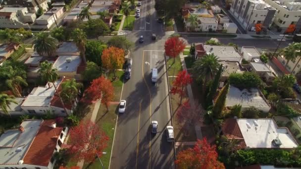 Jesienne Liście Los Angeles Mieszkaniowy Sąsiad Ulica Zachód Słońca Aerial — Wideo stockowe