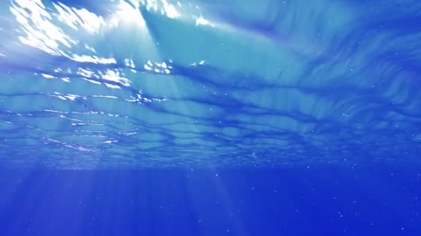 Burbujas Submarinas Rayos Solares Bucle Animación — Vídeos de Stock