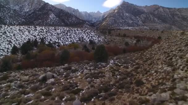 冬の雪に覆われたシエラネバダ山脈のマウントホイットニー低高度前方空中ショット — ストック動画