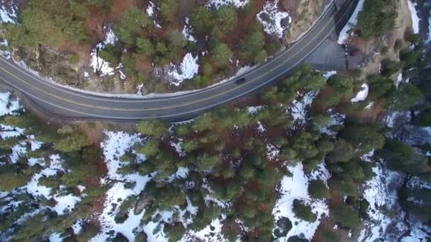 松林と山の冬の雪の空中ショットカリフォルニア州前方左 — ストック動画
