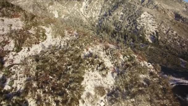 カリフォルニアの雪に覆われたアルパイン山の尾根空中で前方の木の上を飛ぶ — ストック動画