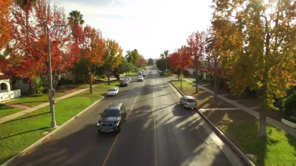 ロサンゼルスの秋の紅葉住宅街周辺の夕日空中ショット標高 — ストック動画