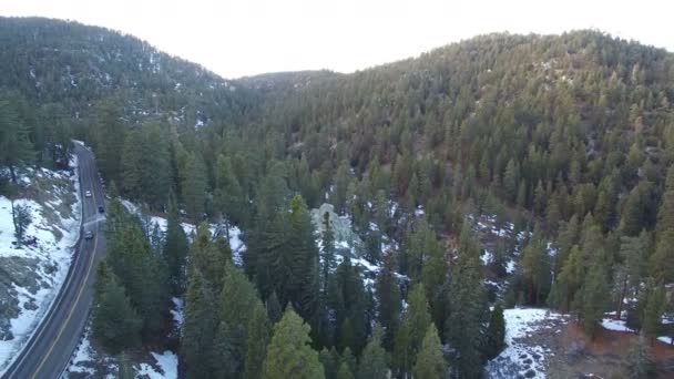 Invierno Nieve Plano Aéreo Bosque Pinos Montañas California Volver Elevar — Vídeos de Stock