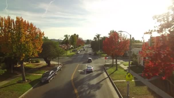 Follaje Otoño Los Ángeles Residencial Neighbor Street Sunset Aerial Shot — Vídeo de stock