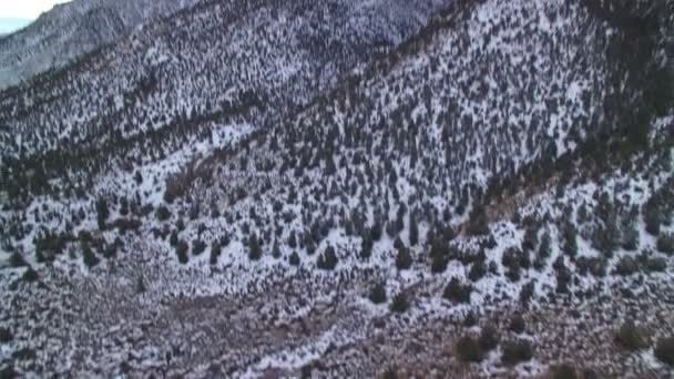 Základna Whitney Letecký Záběr Sierra Nevada Hory Zimním Sněhu Naklonit — Stock video