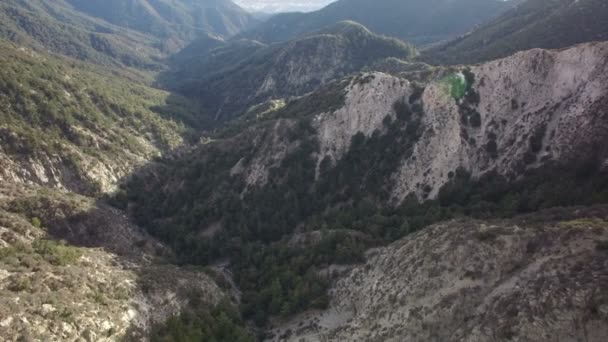 Berg Ridges Antenn Skott Skog Och Klippa Bakåt Luta Upp — Stockvideo