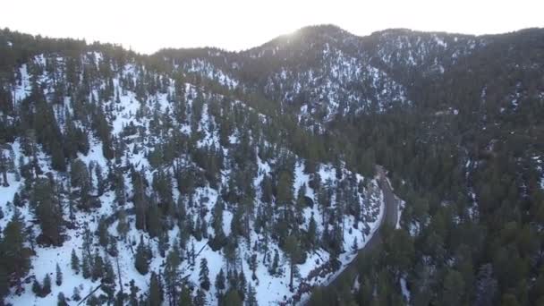 Inverno Neve Aerea Tramonto Pino Foresta Montagne California — Video Stock