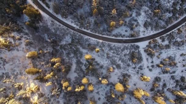 冬の雪に覆われた曲がりくねった道カリフォルニアの深い森サンセット航空ショットフォワード — ストック動画