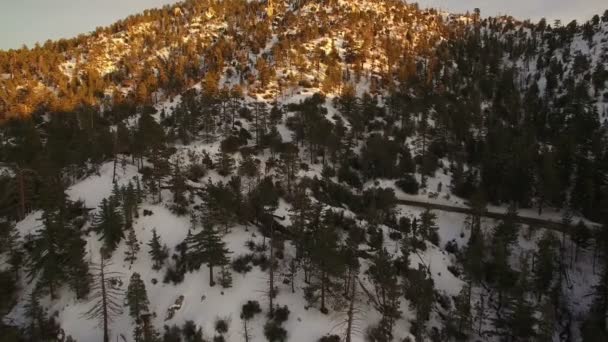 Západ Slunce Dopadá Zimní Zasněžené Hory Pine Forest Aerial Shot — Stock video