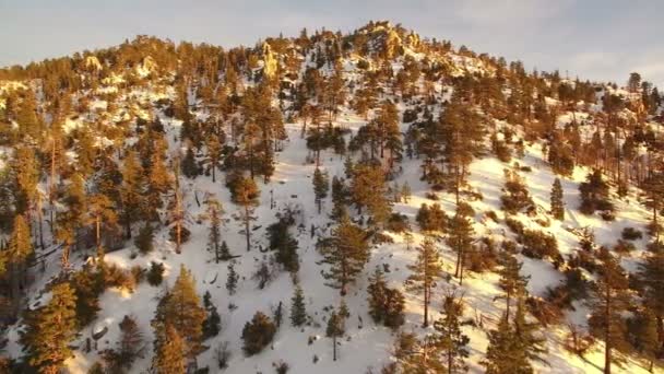 Günbatımı Işığı Kışın Karla Kaplanmış Dağlar Çam Ormanı Hava Çekimi — Stok video