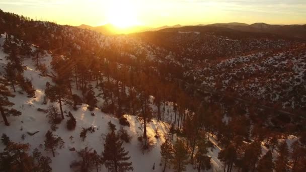 Zonsondergang Licht Raakt Winter Sneeuw Bedekte Bergen Dennenbos Luchtfoto Californië — Stockvideo