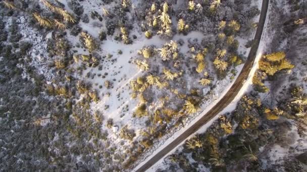Winding Road Winter Snow Καλυμμένο Βαθύ Δάσος Στην Καλιφόρνια Sunset — Αρχείο Βίντεο