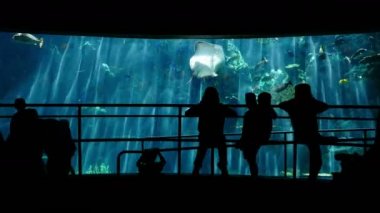 Akvaryum Aile Siluetleri Kalabalık Balıkları İzliyor