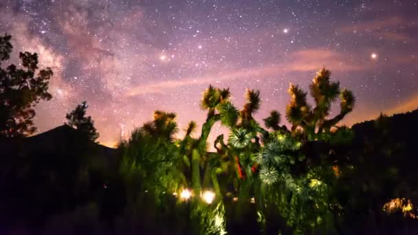 Vía Láctea Galaxia Meteorito Tiempo Lluvia Lapso Aquarids Astrofotografía Galaxy — Vídeos de Stock