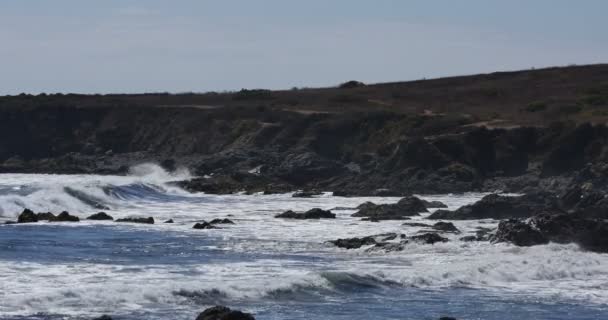 Big Sur Waves Kraschar Julia Pfeiffer Burns State Park Vista — Stockvideo