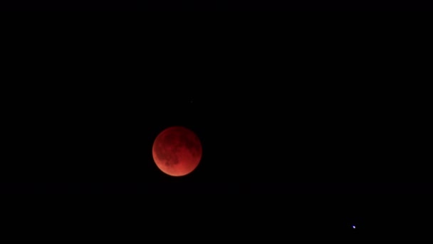 Eclipse Lunar 2014 Luna Nubes Abril — Vídeo de stock