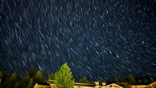 森林の上の星の道天体写真撮影時間の経過 — ストック動画
