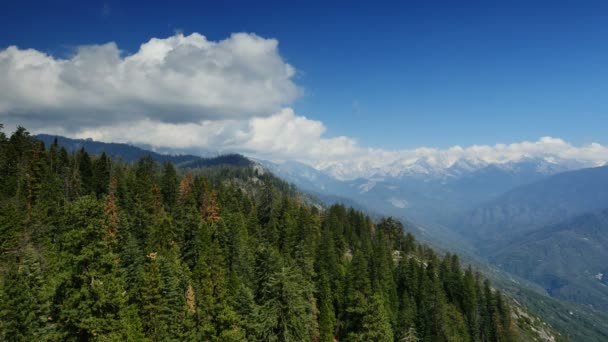 Sequoia Národní Park Kalifornie Pohled Moro Rock Time Lapse Sierra — Stock video