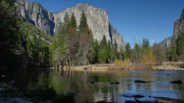 Yosemite National Park Valley View Dolly Capitan California Stati Uniti — Video Stock