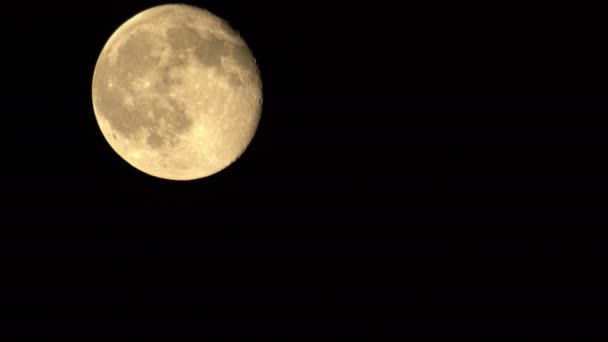 Colpo Telescopio Full Moon — Video Stock