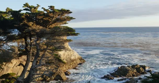 Lone Cypress View Point Sunset Waves Crashing Miglia Auto Monterey — Video Stock