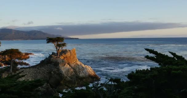 加州蒙特里的一个孤零零的柏树落日海洋时间飞逝17英里 — 图库视频影像