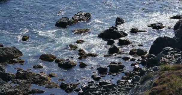 Grandes Olas Del Sur Estrellan Julia Pfeiffer Burns State Park — Vídeo de stock