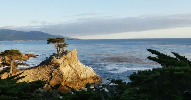 Samotny Cyprys Czas Lapse Zachód Słońca Ocean Mil Jazdy Monterey — Wideo stockowe