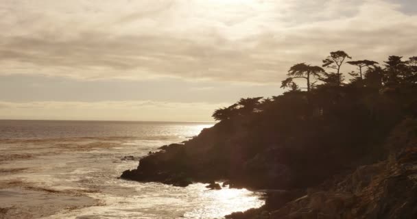 Eenzame Cypress Viewpoint Sepia Color Mijl Rijden Monterey Californië — Stockvideo