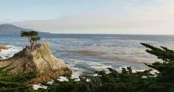 Lone Cypress Sunset Ocean Milhas Unidade Monterey Califórnia — Vídeo de Stock