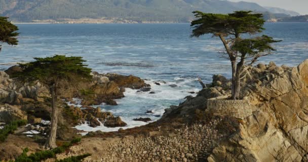 Самотній Cypress Sunset Ocean Miles Drive Monterey California Other Cypress — стокове відео