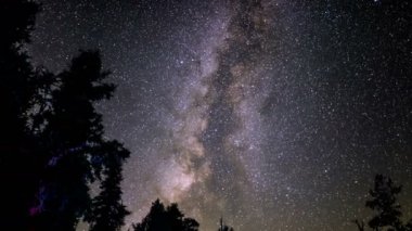 Samanyolu Galaksisi ve Perseid Meteor Yağmuru Antik Çam Ormanı, Kaliforniya