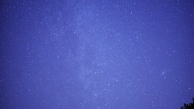 San Gabriel Dağları Ulusal Anıtı Kaliforniya Yıldızlı Gökyüzü Samanyolu Galaksisi Orman Eğilimi