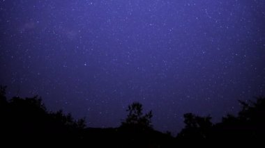 San Gabriel Dağları 'ndaki Kuzey Yıldızı Kutup Yıldızı Kaliforniya Yıldızlı Gökyüzü Ormandaki Zaman Yarışı