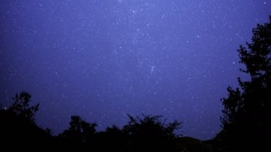 San Gabriel Dağları Ulusal Anıtı Kaliforniya Yıldızlı Gökyüzü Samanyolu Galaksisi Ormandaki Zaman Süreleri