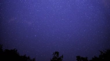San Gabriel Dağları 'ndaki Kuzey Yıldızı Kutup Yıldızı Kaliforniya Yıldızlı Gökyüzü Ormandaki Zaman Yarışı