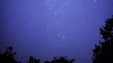 San Gabriel Dağları Ulusal Anıtı Kaliforniya Yıldızlı Gökyüzü Samanyolu Galaksisi Ormandaki Zaman Hızı Kalktı